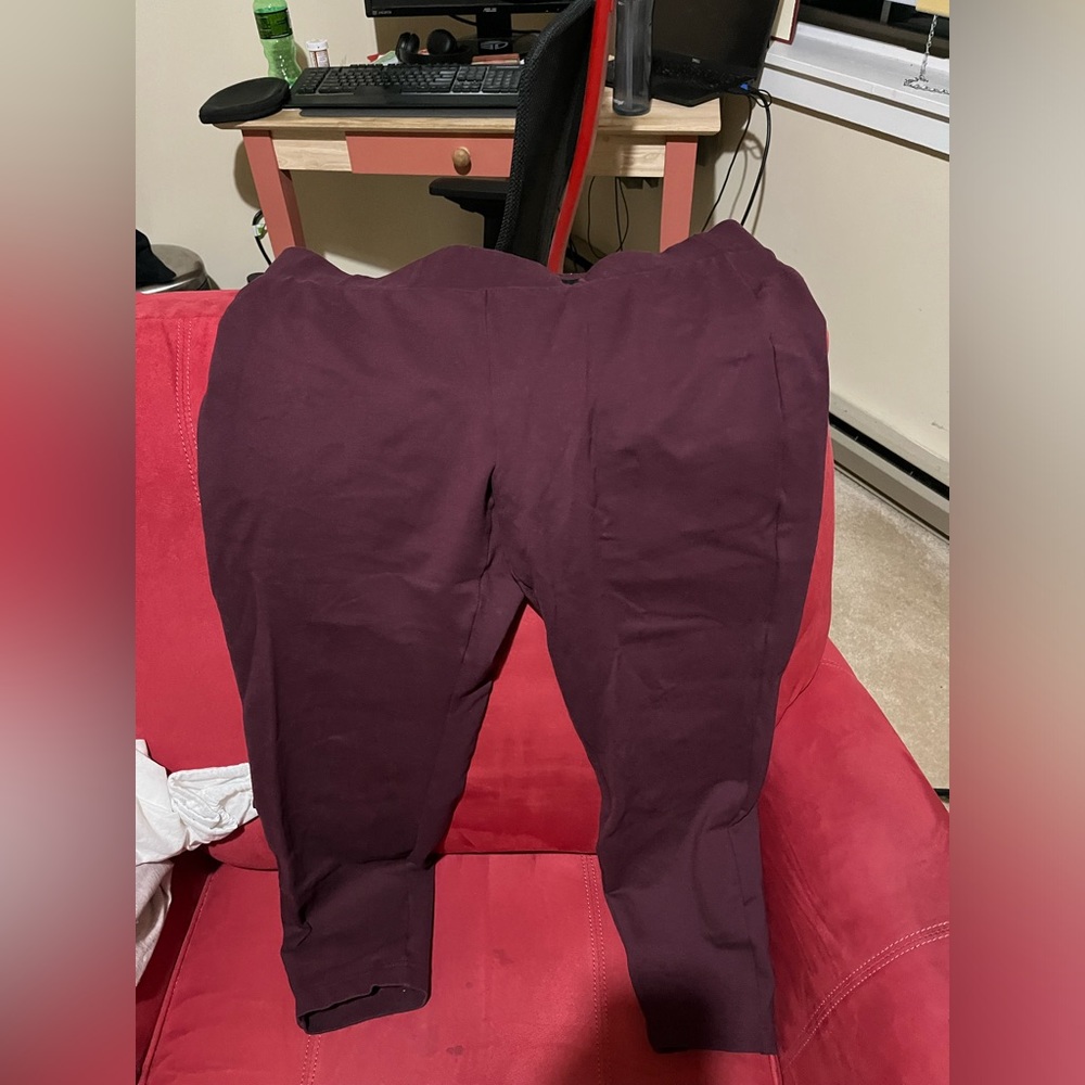 Torrid Slim Fix Pixie Pant - Regular length Torrid Size 2